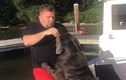 Chó khổng lồ “ngứa mắt” đẩy chủ xuống hồ bơi 