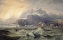 Chuyến thám hiểm Bắc Cực chết chóc trong lịch sử