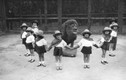 Ảnh huấn luyện sư tử ở Mỹ những năm 1900