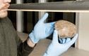 Bí mật bất ngờ về mảnh xương sọ 13.000 năm tuổi