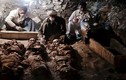 Loạt phát hiện gây sửng sốt nhân loại về mộ cổ Ai Cập 