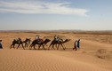Giả mã bí mật về sa mạc nóng nhất thế giới