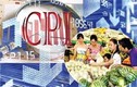 Chỉ số giá tiêu dùng TP Hồ Chí Minh tháng 4 tăng 0,12%
