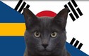 Mèo Cass tiên tri ĐT Hàn Quốc đánh bại Thụy Điển