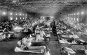 Hiều lầm khó tin về đại dịch cúm Tây Ban Nha