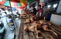 Luật hóa cấm ăn thịt chó ở nước ngoài: Những điều chưa biết 