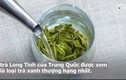 Bí mật phía sau loại trà Long Tỉnh thượng hạng của Trung Quốc 