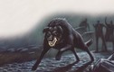 Chuyện kể hãi hùng về loài sói ma đáng sợ trong truyền thuyết 