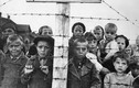 Ám ảnh trải nghiệm của nạn nhân trong trại tập trung Hitler 