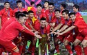 Trận tranh cúp Việt Nam - Hàn Quốc không thể tổ chức trong năm 2019