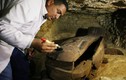 Suýt ngất top “báu vật” được phát hiện bất ngờ trong nghĩa địa