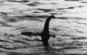 Nóng: Quái vật hồ Loch Ness, Big Foot và Yeti không hề tồn tại?
