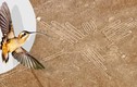 Cực sốt: Đường kẻ Nazca cuối cùng đã được giải mã?