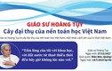 Giáo sư Hoàng Tụy - Cây đại thụ của nền toán học Việt Nam