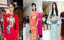 Ngắm họa tiết lạ trên áo dài của dàn Hoa hậu Việt 