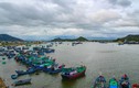 Hưng Thịnh, Novaland… tài trợ quy hoạch đô thị ven Đầm Nại hơn 2.900ha