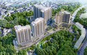 Dự án NƠXH hơn 205 tỷ Lâm Đồng: “Đường rộng” cho Nhà An Bình