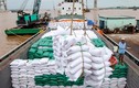 Nhu cầu tăng, xuất khẩu gạo Việt Nam đạt kỷ lục 7,1 triệu tấn