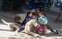 “Rùng mình” trước cảnh lấy xác thú khô làm đồ chơi ở Gaza