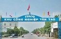 Lợi nhuận âm liên tiếp, cổ phiếu Tân Tạo vào diện kiểm soát