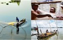 Con sông ngắn nhất Việt Nam là thủy phận của loài ‘quái ngư’ quý hiếm