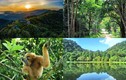 Vườn quốc gia Việt Nam 5 năm liên tiếp lọt top hàng đầu châu Á