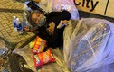 Hình ảnh cám cảnh người vô gia cư TP HCM: Sẽ không còn sau thu dung? 