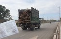 Xe cơi nới thùng, thành lộng hành ở Quảng Ninh: TP Hạ Long cho hoạt động?