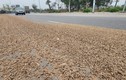 Dăm gỗ phủ kín đường nối khu KCN Cái Lân qua KCN Việt Hưng
