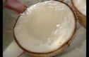 Món ngon khó cưỡng dừa sáp và mầm dừa Nam bộ
