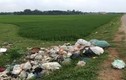 Hoảng hồn đoạn chân người vứt tại bãi rác ở Nghệ An