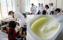 Ăn sữa chua Dutch Lady dị ứng: FrieslandCampina VN giải thích có đáng tin?