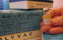 Việt Nam sử dụng vắc xin bại liệt mới từ tháng 5/2016