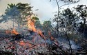 Cháy rừng dữ dội ở Hạ Long, tạm dừng thi công