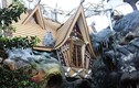 Thăm “Ngôi nhà điên” có kiến trúc kỳ quái ở Đà Lạt