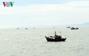 Tìm kiếm ngư dân Bình Thuận mất tích ngoài khơi