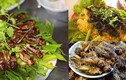 Món ăn từ bọ mùa hè: Nhìn thì ghê ăn lại mê