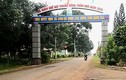 Đồng Nai: Cty Hương Tuấn Phát trúng gói thầu làm đường tại xã Xuân Quế