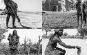 Hạn hán tồi tệ nhất trong 30 năm tàn phá Namibia