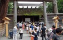 Đền thiêng nhất Nhật Bản xây lại... 62 lần