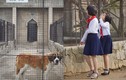 Đột nhập vườn thú ở Triều Tiên
