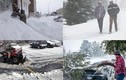 Mỹ chìm trong bão tuyết dữ dội, bất thường 