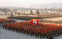 Quân đội Triều Tiên thề tận trung với ông Kim Jong-un