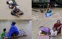 Độc lạ muôn kiểu phương tiện chạy lụt của người Philippines