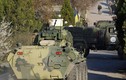 Tự vệ Crimea chiếm căn cứ không quân Ukraine