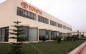 Dữ liệu khách hàng của Toyota Việt Nam bị tin tặc tấn công?