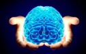 7 thói quen nhiều người mắc gây tổn thương não bộ nghiêm trọng