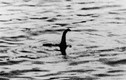 Huyền thoại quái vật hồ Loch Ness: Chứng thực sự tồn tại?