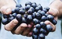 10 loại “trái cấm” đối với người mắc bệnh tiểu đường