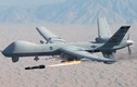 Mỹ “nóng ruột” mong Hàn Quốc mua UAV “sát thủ” MQ-9